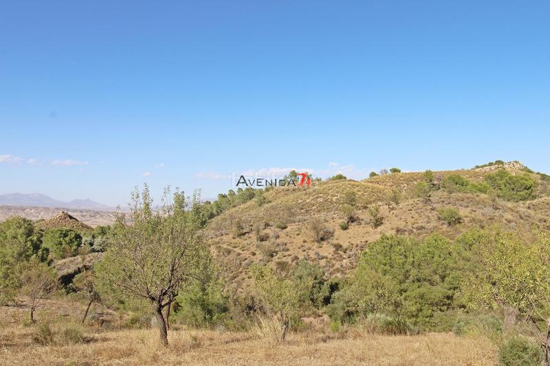 Foto 328e5e8b-7193-4717-bb2f-008589693abb. Mas dans Parrilla Lorca