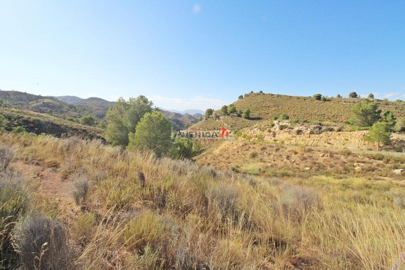 Foto 365208d6-33c4-4003-ad8e-cd991e4b3156. Mas dans Parrilla Lorca