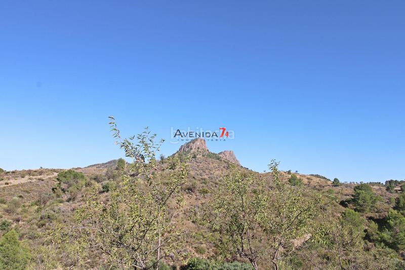 Foto 6e661033-2242-4333-af25-ad22a63cf805. Mas dans Parrilla Lorca