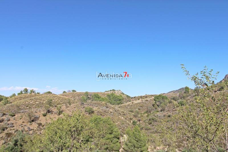 Foto 7488dd37-9a24-4ebc-b124-9d2632b65dcf. Mas dans Parrilla Lorca