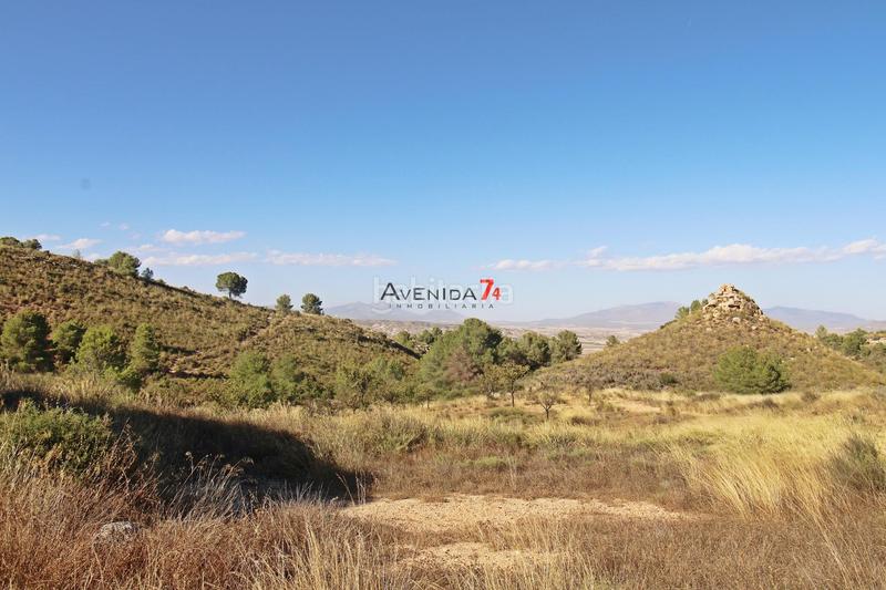 Foto 8828ce43-774e-408c-9d50-ab52dd2d4f98. Mas dans Parrilla Lorca