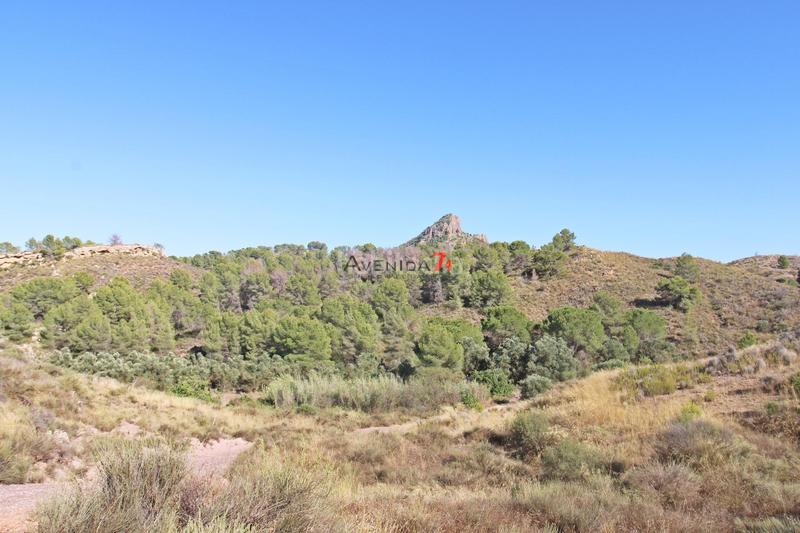 Foto 8e99e364-f531-424e-8de0-c485f923edde. Mas dans Parrilla Lorca