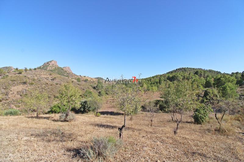 Foto 9b669b4a-f4b1-4fa5-b909-d3141d213781. Mas dans Parrilla Lorca