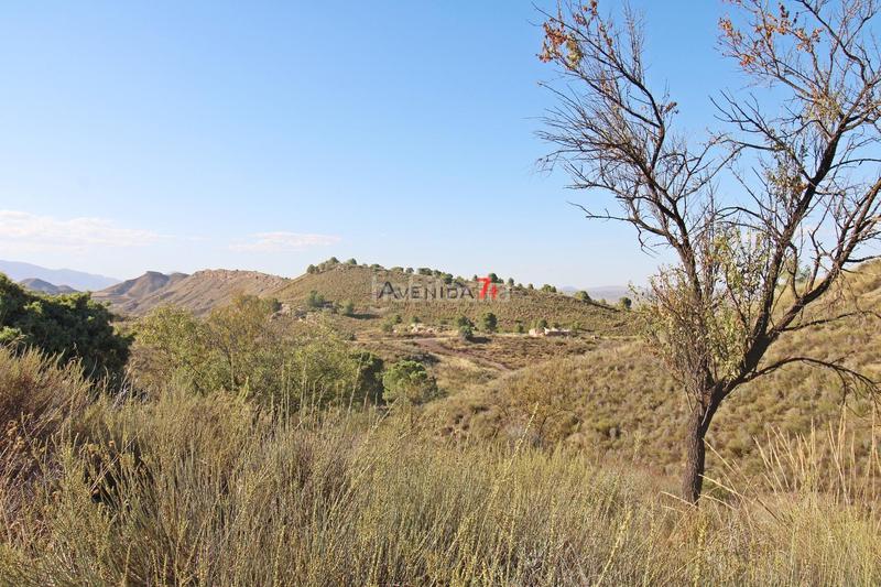 Foto a12e4595-9c2f-4adb-871e-05c729e2c24f. Mas dans Parrilla Lorca