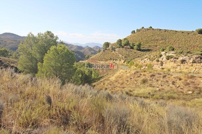 Foto a868bafd-adc7-46e3-ae1e-40b28034baa8. Mas dans Parrilla Lorca