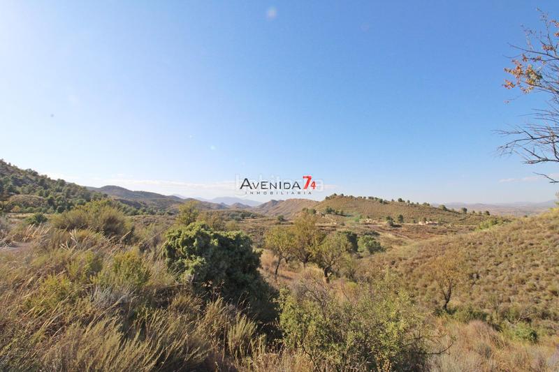 Foto ac4e43f6-61b7-4b8d-8d55-c02558c950b6. Mas dans Parrilla Lorca