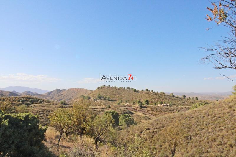 Foto d0488c7c-fa5c-4d77-b877-ee4bed2e827c. Mas dans Parrilla Lorca