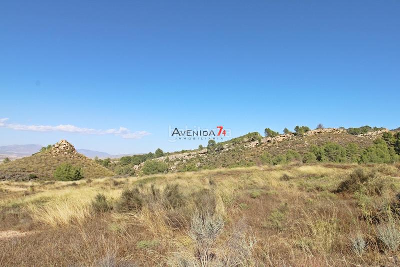 Foto d7de935c-f5c8-44df-9229-1d37d71080ff. Mas dans Parrilla Lorca