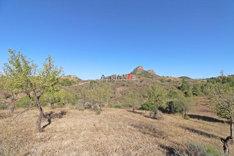 Foto ddd1157b-e1be-4ddf-a224-763a34225e93. Mas dans Parrilla Lorca