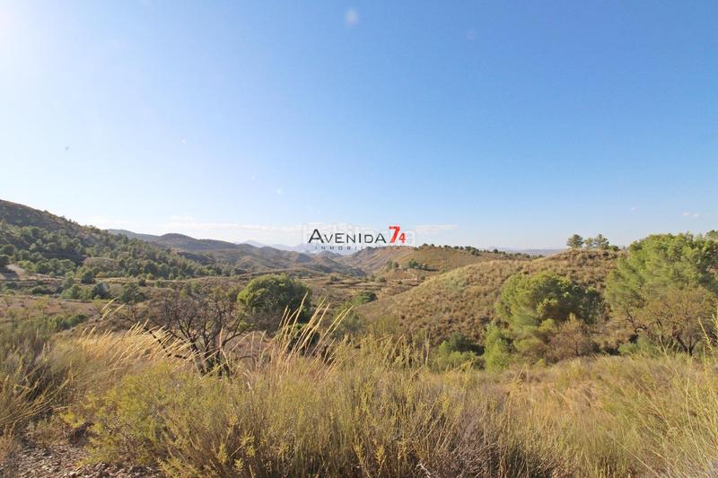 Foto f0cd68db-f7b6-420d-a108-4b4c156f0af2. Mas dans Parrilla Lorca