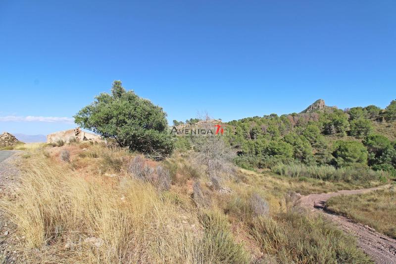 Foto f1be0d98-5f3c-4009-a142-e550e39c0fdf. Mas dans Parrilla Lorca