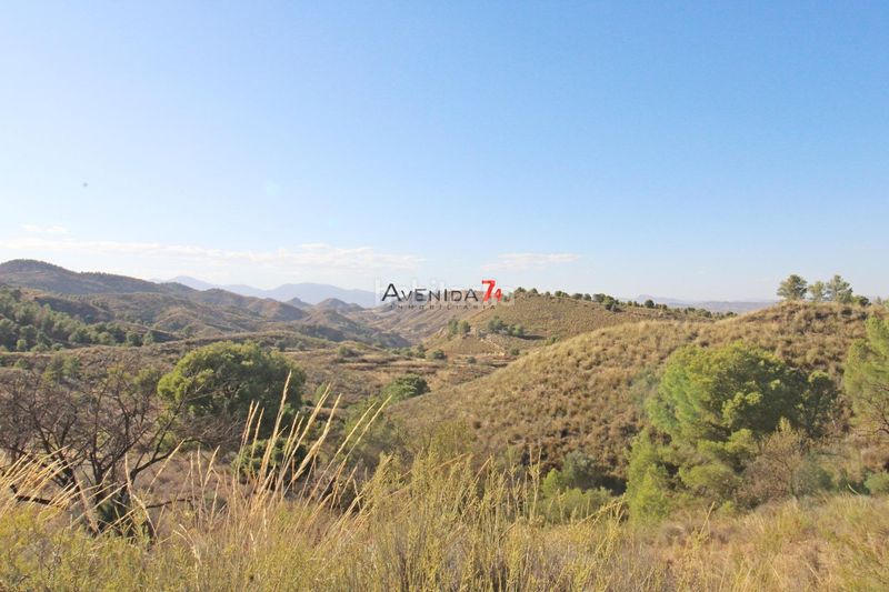 Foto 1f350c12-f1c4-4080-bc9c-6e922aeec7c8. Mas dans Parrilla Lorca