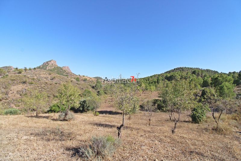 Foto 9b669b4a-f4b1-4fa5-b909-d3141d213781. Mas dans Parrilla Lorca