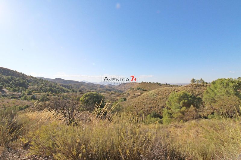 Foto f0cd68db-f7b6-420d-a108-4b4c156f0af2. Mas dans Parrilla Lorca