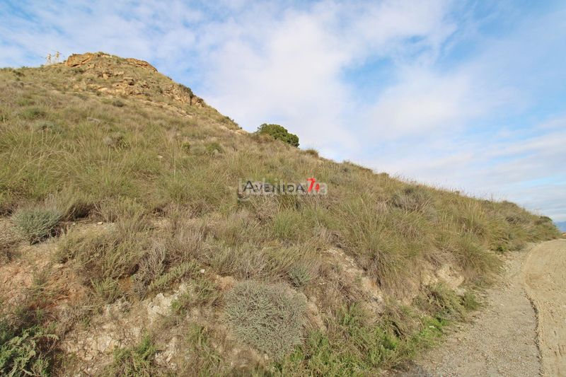Foto 1df5c0ef-c40e-418b-bfb0-dee48a99f8be. Terreny residencial a Purias Lorca