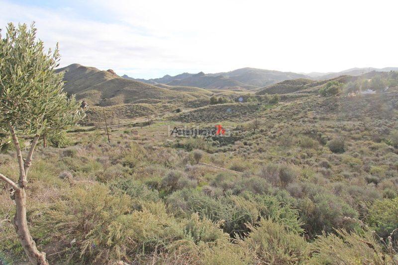 Foto 7976373f-b429-4c8b-9315-f8dfca66c0fb. Terreny residencial a Purias Lorca
