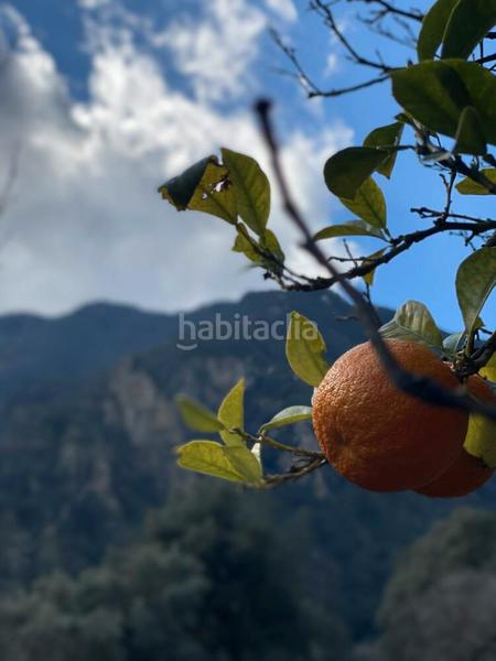 Foto 19bc0d1c-e3f7-4a93-ad10-045d04e46539. Casale con camino riscaldamento in Pont Major - Pedret - Campdorà Girona