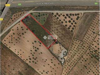 Finca rústica a La magdalena 4. Terreno rustico  en venta a la entrada de la magdalena