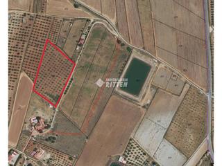 Finca rústica  Los castillejos. Terreno rustico en venta entre los castillejos y la aljorra