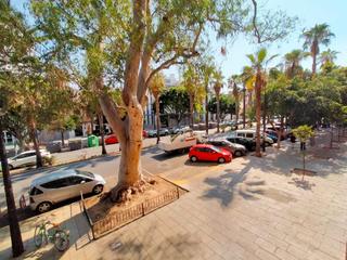 Rent Flat in Morvedre