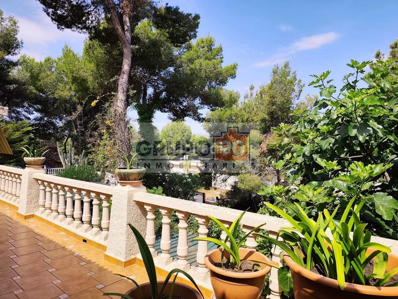 Foto 1d09fb11-e8ac-4348-baa1-29d064c71532. Xalet amb aparcament a El Bosque Chiva