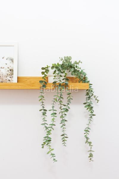 Foto 8386c7cf-af09-4e63-a467-13328ac763be. Lloguer pis amb calefacció a Can Palet Terrassa