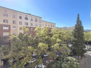 Pis a SELVA DE MAR
