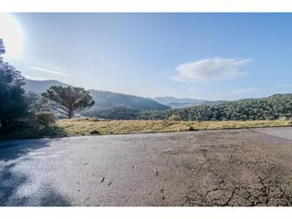 Terreny residencial  Roure. Suelo residencial  dosrius