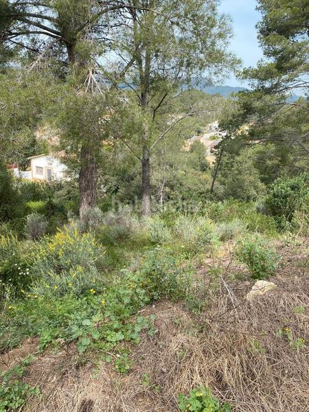 Foto eb440e1d-471a-4200-9343-6109dd6d8408. Edifici a carrer dels molins 83 a Riudecanyes