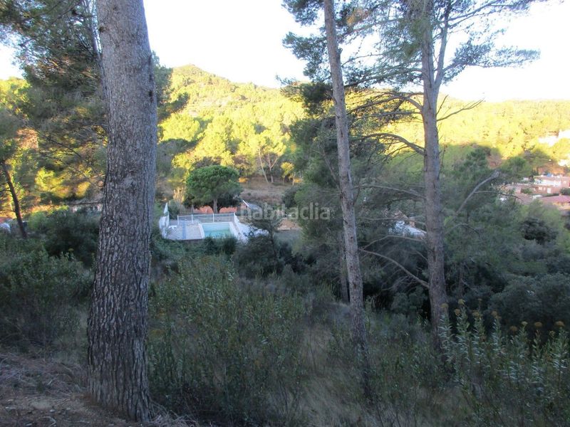 Foto 0b64f04e-ec91-4619-ad10-48bbc3264d3c. Terreno residencial en carrer dels molins 65 2 parcelas de 750 m2 total 1500 en Riudecanyes