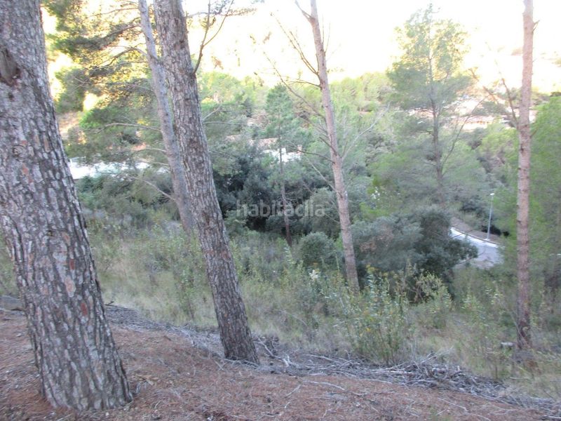 Foto 2ba89f99-dd8d-4851-938d-1db6b816cb95. Terreno residencial en carrer dels molins 65 2 parcelas de 750 m2 total 1500 en Riudecanyes