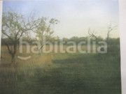 Foto 79f4571b-6d6a-43d2-b2a5-95b4e18a09c2. Finca rústica en tv-3313 137 en Ulldecona