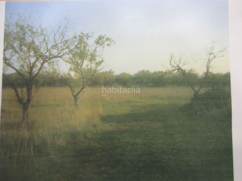 Foto 7ea3f804-e0c2-436b-a781-f8ed3df4db32. Finca rústica en tv-3313 137 en Ulldecona