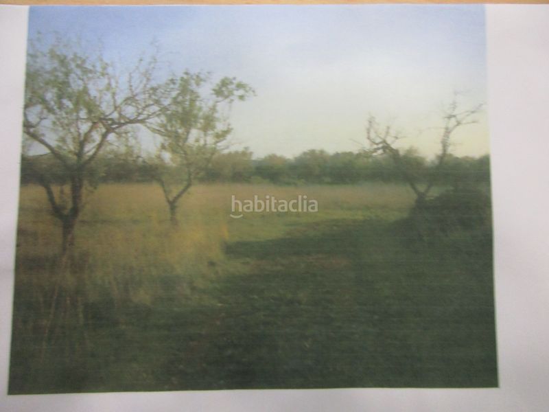 Foto a4d6b140-b6a4-4c29-8f7e-55f3e10269f5. Finca rústica en tv-3313 137 en Ulldecona