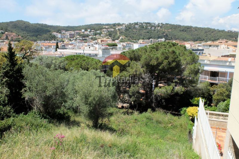 Foto 77dda352-eedb-458d-ab36-4e4f960e070b. Terreny residencial a Tossa de Mar Tossa de Mar