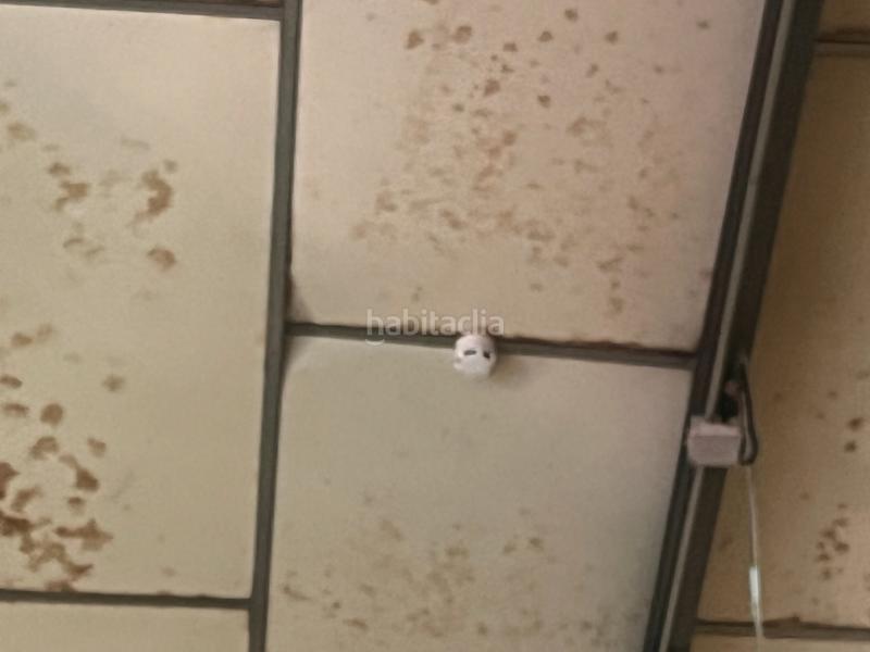 Foto 4efacb3b-61c8-42d1-848e-8285baf3e1ad. Rent industrial building in Zona Industrial Barberà del Vallès