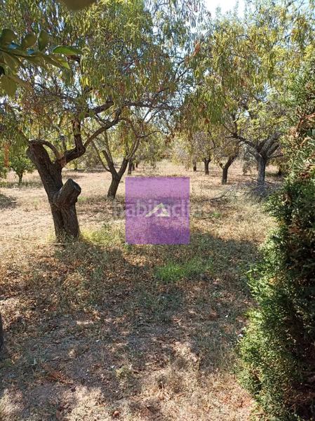 Foto 921f1d98-edcb-4c51-8b05-504e033ee9b8. Xalet a calle mercurio 6 a Godelleta