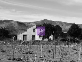 Casale  N/a