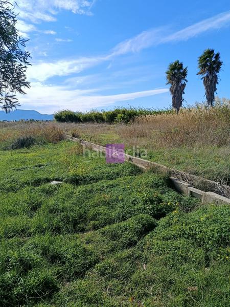 Foto 19c03cc1-ce18-4929-a7aa-cd03e4464482. Landgut in Sueca Sueca