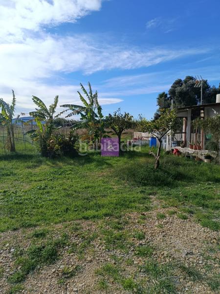 Foto e18c2996-cd20-4121-ba8f-76d04ba383e0. Landgut in Sueca Sueca