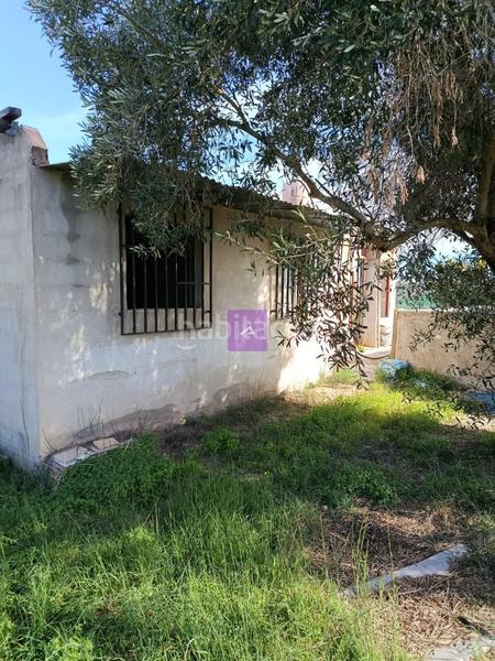 Foto f08a42de-abb2-4441-ab15-9e9d3ecff925. Landgut in Sueca Sueca