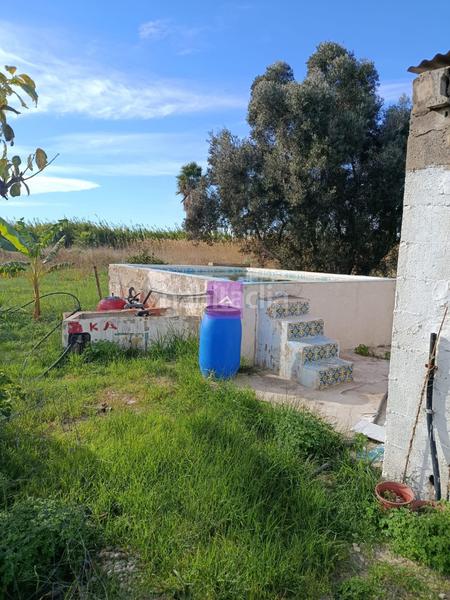 Foto 4e56e98e-2c52-452e-b860-a412ab314fbb. Rural plot in Sueca Sueca