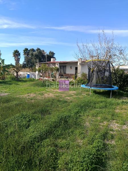 Foto 5c1e934e-2fce-46ee-9531-bfbe9f6cd2b8. Rural plot in Sueca Sueca