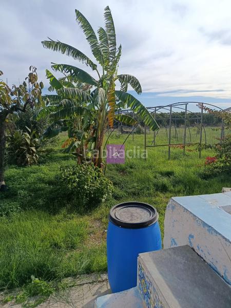 Foto afcc0a9f-f8ad-4116-a37e-2bf3747a9560. Rural plot in Sueca Sueca