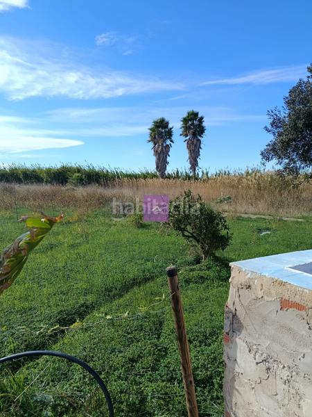 Foto ec551bdd-3263-4de1-8b61-a91831e4f4aa. Rural plot in Sueca Sueca