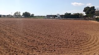 Landgut in Albal. Campo esquinero en santa ana