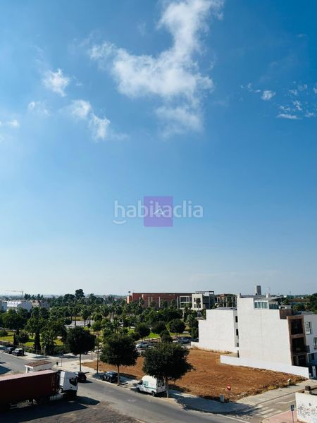 Foto b4878930-ad4b-46a7-867e-a0c1819c913d. Àtic a Albal