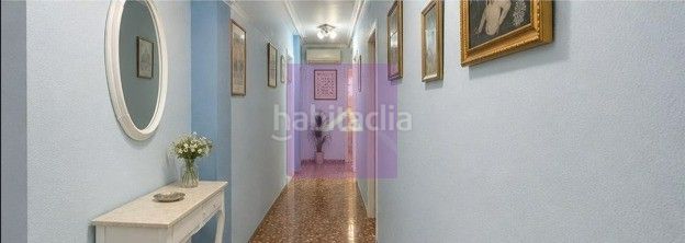 Foto daf5f8db-a0f6-46ea-94bd-47177ccee317. Àtic a Algemesí