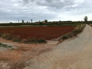 Finca rústica a Camino santa ana 1