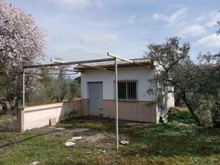 Finca rústica a Loja. Terreno agrario con olivos centenarios y casa de aperos  a 10 mi